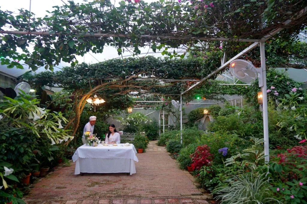 Sonya's Garden