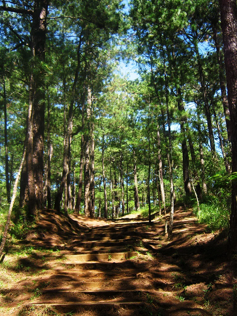 Camp John Hay EcoTrail